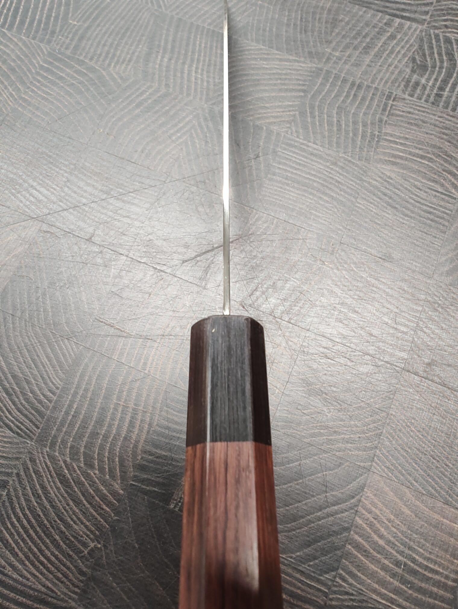 Kikuichi nwd spine