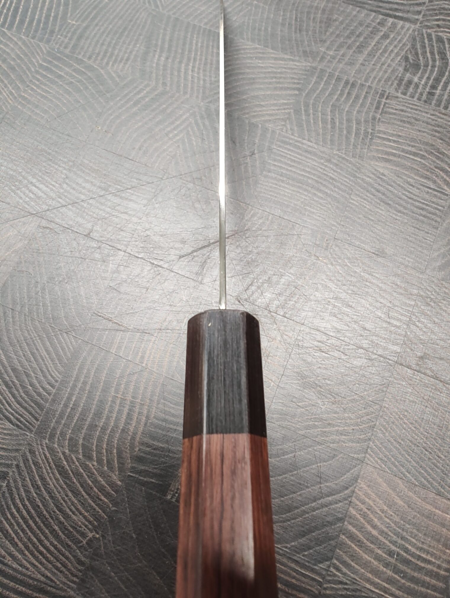 Kikuichi nwd spine