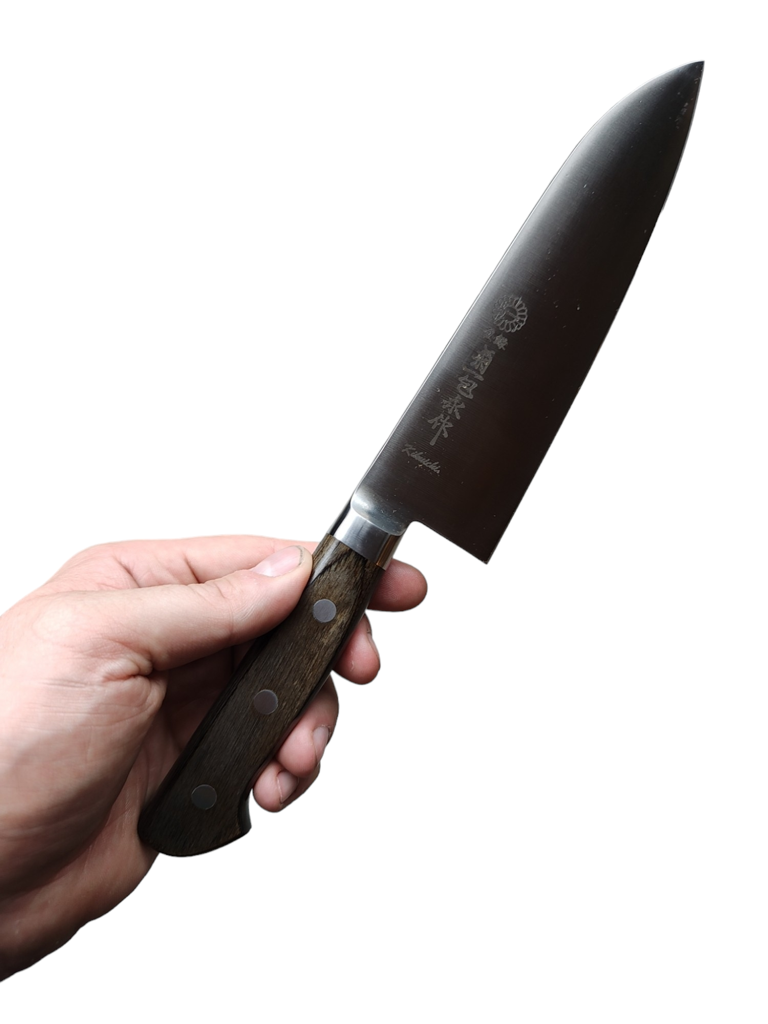 Kikuichi Semi Stainless santoku 180 mm chef and knife belgium kookwinkel recepten koken koksmessen keukenmessen