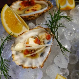 Oester